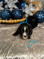 processed/cc5d70e4-92c9-4456-b3b4-5073275a9bdc/listing/82bdd996-3b92-4b95-9b6d-a3377184f08b/d4d52707-defa-4b63-a9da-2993ca29fb32