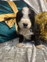 processed/cc5d70e4-92c9-4456-b3b4-5073275a9bdc/listing/85f706ec-c5b0-411d-8b48-b1d0a160490d/62f6ce63-4dc3-4933-9999-6d0fb786b9fd