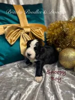 processed/cc5d70e4-92c9-4456-b3b4-5073275a9bdc/listing/85f706ec-c5b0-411d-8b48-b1d0a160490d/9b7d9bd7-6c8f-4866-8aa2-cc0d3c22fce6