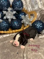 processed/cc5d70e4-92c9-4456-b3b4-5073275a9bdc/listing/85f706ec-c5b0-411d-8b48-b1d0a160490d/9df5460b-ea00-4639-a30d-6013150a9840