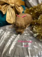 processed/cc5d70e4-92c9-4456-b3b4-5073275a9bdc/listing/96a63ba8-87eb-487f-bac7-216f0b772183/f39a5750-f7fb-4bce-a8a1-90cd0a857170