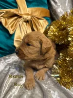 processed/cc5d70e4-92c9-4456-b3b4-5073275a9bdc/listing/ab472364-cf5b-4b9b-8eb5-18ee58f82e35/77905e75-73c8-4472-8f6e-8c9ae68a7a4e