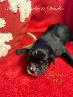 processed/cc5d70e4-92c9-4456-b3b4-5073275a9bdc/listing/f6f3fd0b-1fda-478e-a54f-8600446db628/423620ca-a491-49f7-bd79-2713b3764cff