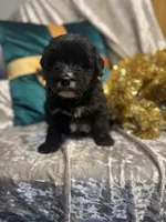 processed/cc5d70e4-92c9-4456-b3b4-5073275a9bdc/listing/f6f3fd0b-1fda-478e-a54f-8600446db628/77ddef58-beb3-4d07-9542-fc387e95e297