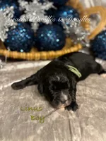 processed/cc5d70e4-92c9-4456-b3b4-5073275a9bdc/listing/f6f3fd0b-1fda-478e-a54f-8600446db628/ad24ddba-c72f-43fd-9121-5d8cbb746ea4