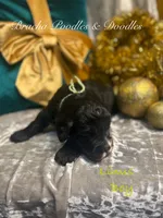 processed/cc5d70e4-92c9-4456-b3b4-5073275a9bdc/listing/f6f3fd0b-1fda-478e-a54f-8600446db628/df348462-05ea-49b2-886d-8e1363cdf347