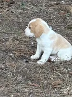 processed/cc5f0d91-6491-4f62-89f6-cb8994ac6acc/listing/7fa9fa17-3d92-4c3b-ba1d-fd1b88bddded/15811b7d-a546-4c0e-9725-7d57754b1083