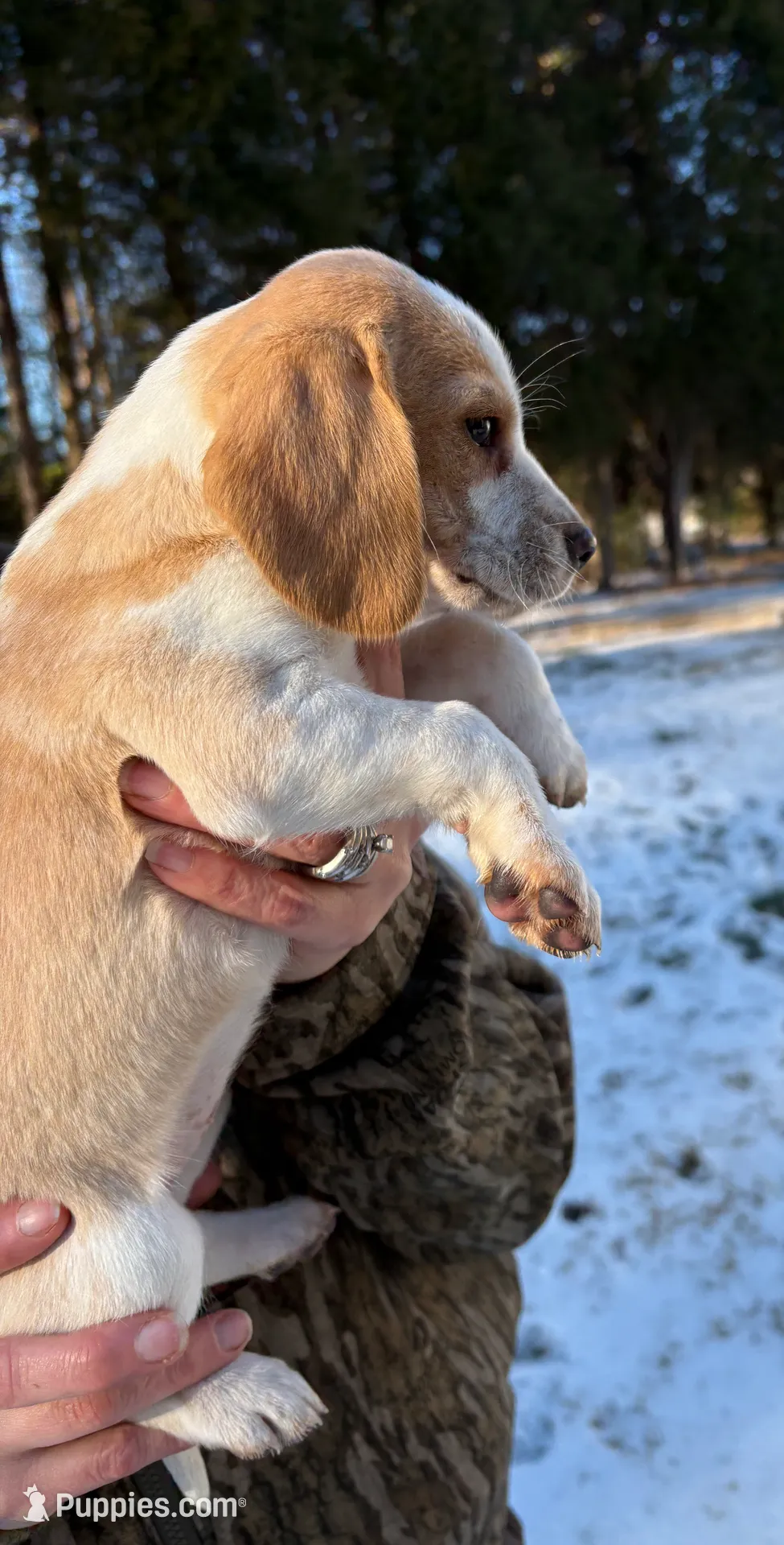 processed/cc5f0d91-6491-4f62-89f6-cb8994ac6acc/listing/7fa9fa17-3d92-4c3b-ba1d-fd1b88bddded/31a1d13b-2fd5-49eb-af84-d0ec380476f4