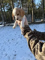 processed/cc5f0d91-6491-4f62-89f6-cb8994ac6acc/listing/7fa9fa17-3d92-4c3b-ba1d-fd1b88bddded/872165d8-b89a-4a1c-b8d7-1a1ebdaff81d