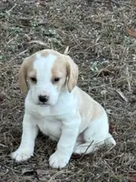 processed/cc5f0d91-6491-4f62-89f6-cb8994ac6acc/listing/7fa9fa17-3d92-4c3b-ba1d-fd1b88bddded/a0568f37-2676-4fa9-8936-eef6763133af