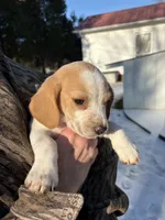 processed/cc5f0d91-6491-4f62-89f6-cb8994ac6acc/listing/f56954b9-38ee-41ec-9b9d-cfd354fcb377/11a67550-07ff-47ae-b7c6-241bd5f9e2f3