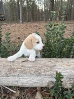 processed/cc5f0d91-6491-4f62-89f6-cb8994ac6acc/listing/f56954b9-38ee-41ec-9b9d-cfd354fcb377/ba1c63ce-ee91-4c33-93ec-7708cff074d9