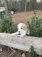 processed/cc5f0d91-6491-4f62-89f6-cb8994ac6acc/listing/f56954b9-38ee-41ec-9b9d-cfd354fcb377/bc315529-5fb1-469f-9fba-fd7696d55ba0