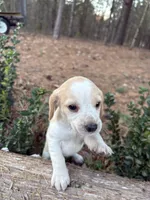 processed/cc5f0d91-6491-4f62-89f6-cb8994ac6acc/listing/f56954b9-38ee-41ec-9b9d-cfd354fcb377/cf07c083-be22-4d70-bef9-47f3c7eadbc2