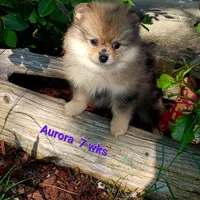 processed/cc6b44b9-2520-4d73-82b1-b567c5489255/facility/039fa251-734e-487d-a013-76f0d36097db