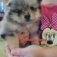 processed/cc6b44b9-2520-4d73-82b1-b567c5489255/facility/19276d9b-8e52-4301-ab33-4932b0398b72