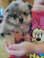 processed/cc6b44b9-2520-4d73-82b1-b567c5489255/facility/19276d9b-8e52-4301-ab33-4932b0398b72