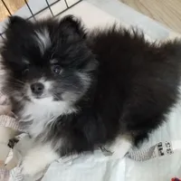 processed/cc6b44b9-2520-4d73-82b1-b567c5489255/facility/21117cee-a799-46b7-83ba-8359e68da420