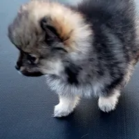 processed/cc6b44b9-2520-4d73-82b1-b567c5489255/facility/2883b7ab-eef7-4205-bf88-a6f87ce79f27