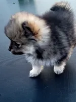 processed/cc6b44b9-2520-4d73-82b1-b567c5489255/facility/2883b7ab-eef7-4205-bf88-a6f87ce79f27