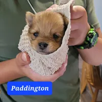 processed/cc6b44b9-2520-4d73-82b1-b567c5489255/facility/2b4f583b-78d5-4f96-af5a-94e715fa15c9