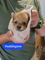 processed/cc6b44b9-2520-4d73-82b1-b567c5489255/facility/2b4f583b-78d5-4f96-af5a-94e715fa15c9