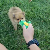 processed/cc6b44b9-2520-4d73-82b1-b567c5489255/facility/2df5ede9-6942-49c9-b9ca-4f459938e27c