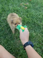 processed/cc6b44b9-2520-4d73-82b1-b567c5489255/facility/2df5ede9-6942-49c9-b9ca-4f459938e27c