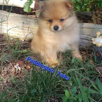 processed/cc6b44b9-2520-4d73-82b1-b567c5489255/facility/5758375f-9eab-41f4-9e24-8b4ab09599e0