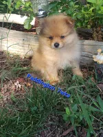 processed/cc6b44b9-2520-4d73-82b1-b567c5489255/facility/5758375f-9eab-41f4-9e24-8b4ab09599e0