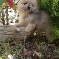 processed/cc6b44b9-2520-4d73-82b1-b567c5489255/facility/80363761-21c2-4af7-be5e-dfcda59a76bf