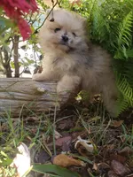 processed/cc6b44b9-2520-4d73-82b1-b567c5489255/facility/80363761-21c2-4af7-be5e-dfcda59a76bf