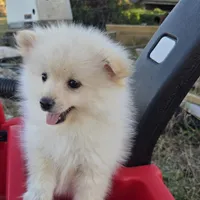 processed/cc6b44b9-2520-4d73-82b1-b567c5489255/facility/b8c17943-a447-4890-b5e4-ef6db8e52251