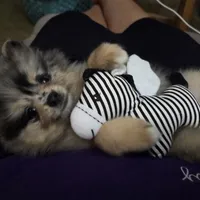 processed/cc6b44b9-2520-4d73-82b1-b567c5489255/facility/be1d135f-a00b-4ca0-8991-a52e8e58debd