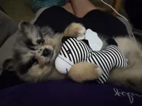 processed/cc6b44b9-2520-4d73-82b1-b567c5489255/facility/be1d135f-a00b-4ca0-8991-a52e8e58debd