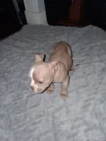 processed/cc70b0ad-905e-48d7-92ec-a32710e11ab3/listing/46a1c575-259d-4027-8ae8-d29419e3f59a/67950ca8-9586-4c30-9e9e-5b493abb80d7