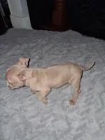 processed/cc70b0ad-905e-48d7-92ec-a32710e11ab3/listing/46a1c575-259d-4027-8ae8-d29419e3f59a/f8a72969-fe51-4187-b70b-120e9967012c