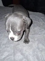 processed/cc70b0ad-905e-48d7-92ec-a32710e11ab3/listing/68e474cc-3284-4c00-82fa-fbefe4240ae8/25947f17-fef2-459f-9a53-9b1c360b02d0