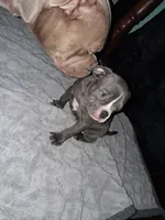 processed/cc70b0ad-905e-48d7-92ec-a32710e11ab3/listing/68e474cc-3284-4c00-82fa-fbefe4240ae8/550103ff-582f-4799-a1a7-59ab8dd94de4