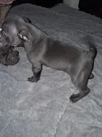 processed/cc70b0ad-905e-48d7-92ec-a32710e11ab3/listing/68e474cc-3284-4c00-82fa-fbefe4240ae8/b4802689-3954-4a6f-a01b-c4840cffc7ea