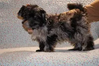 processed/cc898bca-4025-4bd3-808a-7efa15cbe311/listing/066b57aa-1540-4dac-98d9-5fc4082b6239/2a757fed-ad01-4a03-8abb-aca00186a564