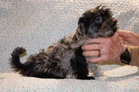 processed/cc898bca-4025-4bd3-808a-7efa15cbe311/listing/066b57aa-1540-4dac-98d9-5fc4082b6239/2bacd537-54ff-4877-926f-1351baf90523