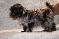 processed/cc898bca-4025-4bd3-808a-7efa15cbe311/listing/066b57aa-1540-4dac-98d9-5fc4082b6239/3b80a59e-fe79-4932-b1f3-4854e2af0541