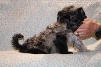 processed/cc898bca-4025-4bd3-808a-7efa15cbe311/listing/066b57aa-1540-4dac-98d9-5fc4082b6239/4f7d4f87-ae7b-4c6f-be64-d5e87977afee