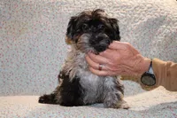 processed/cc898bca-4025-4bd3-808a-7efa15cbe311/listing/066b57aa-1540-4dac-98d9-5fc4082b6239/ab51e928-1afb-4756-8efd-ae86feab6902