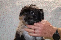 processed/cc898bca-4025-4bd3-808a-7efa15cbe311/listing/066b57aa-1540-4dac-98d9-5fc4082b6239/fbdea217-829d-4f94-af56-e275a8216dd2