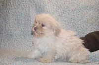 processed/cc898bca-4025-4bd3-808a-7efa15cbe311/listing/0972fc41-b624-4fb7-8e57-2907af55c15b/21d57ccf-a6f1-4204-ae79-f7a832a6d9d4