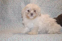 processed/cc898bca-4025-4bd3-808a-7efa15cbe311/listing/0972fc41-b624-4fb7-8e57-2907af55c15b/531d51d8-6e94-4fa3-8fda-d089a2eb367c