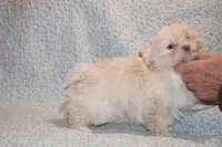 processed/cc898bca-4025-4bd3-808a-7efa15cbe311/listing/0972fc41-b624-4fb7-8e57-2907af55c15b/7664aa12-5a97-443d-8404-2586a9bfecd3