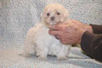 processed/cc898bca-4025-4bd3-808a-7efa15cbe311/listing/0972fc41-b624-4fb7-8e57-2907af55c15b/8a2a0901-4ca7-42ef-b77d-4e135f63dfc1